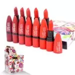 Lipstick Ushas set de 12