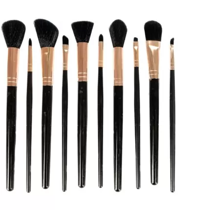 Set de brochas x10 - USHAS