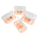 Paleta de Correctores 4 Tonos - Ushas