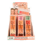 corrector en stick profesional