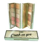 paleta de sombras y rubor profesional