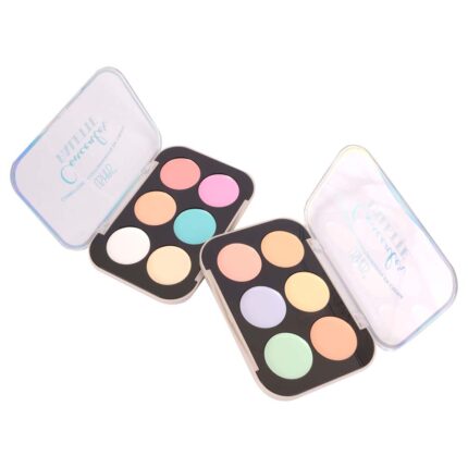 paleta correctora de color profesional 6 tonos